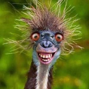 Meet your Posher, Isabelle